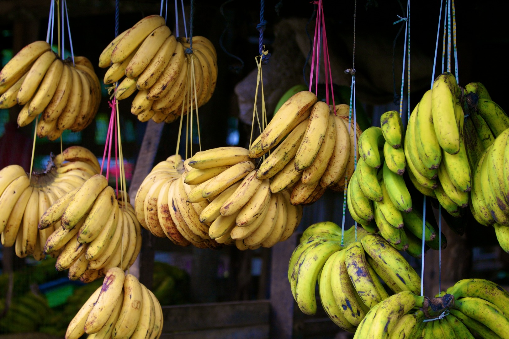 人喰いバナナの真実と それを隠すグローバル金融メカニズム